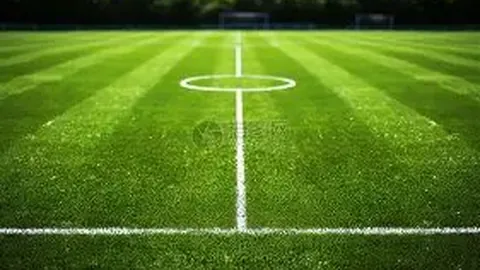 球盟会 产品 032159 wtp